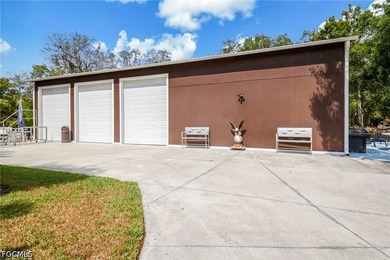 NORTH FORT MYERS | 13.37 ACRES | AG-2 | DUAL PARCEL | OLD - photo 33