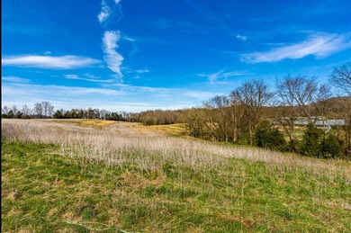 Kentucky Poultry farm with Tyson Contract (currently on Pay - photo 33