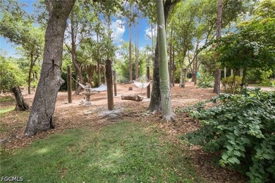 NORTH FORT MYERS | 13.37 ACRES | AG-2 | DUAL PARCEL | OLD - photo 43