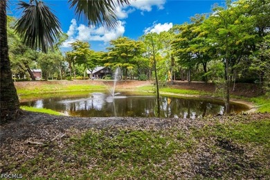 NORTH FORT MYERS | 13.37 ACRES | AG-2 | DUAL PARCEL | OLD - photo 44