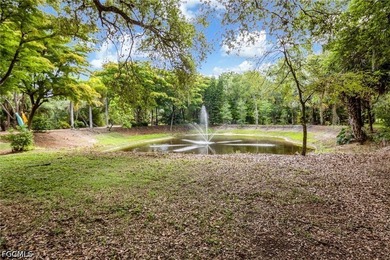 NORTH FORT MYERS | 13.37 ACRES | AG-2 | DUAL PARCEL | OLD - photo 45