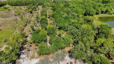NORTH FORT MYERS | 13.37 ACRES | AG-2 | DUAL PARCEL | OLD - photo 46