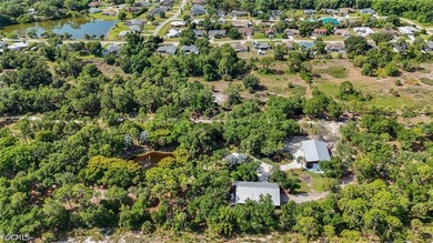 NORTH FORT MYERS | 13.37 ACRES | AG-2 | DUAL PARCEL | OLD - photo 48
