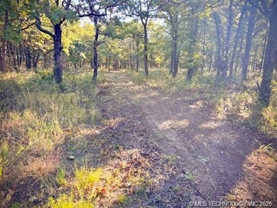 This 9 Acres (m/l) offers seclusion, the beauty of the Osage - photo 4