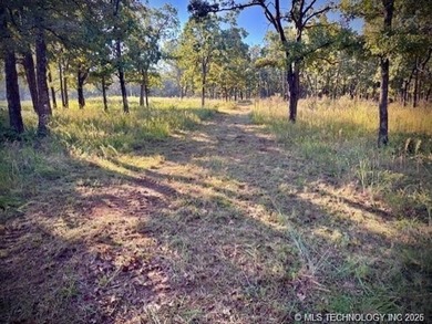 This 9 Acres (m/l) offers seclusion, the beauty of the Osage - photo 5