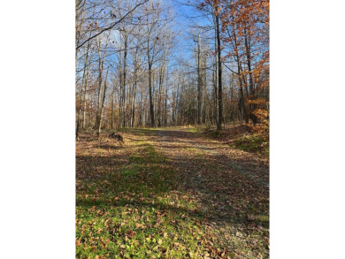 Lake O Meadows Lot Sale Pending in Warren Center Pennsylvania