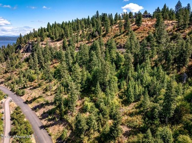 Waterfront Retreat: 14.55-acres of privacy on the shores of - photo 38