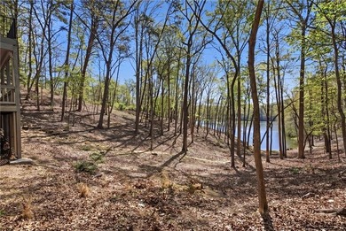 One of the biggest challenges with lake homes in Big Canoe is - photo 41
