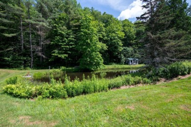 Lake Acreage For Sale in Londonderry, Vermont