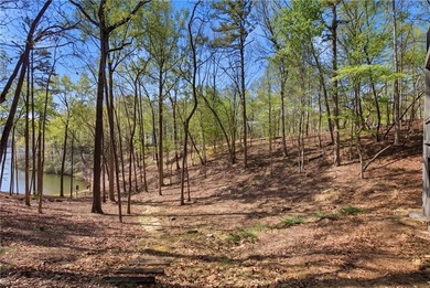 One of the biggest challenges with lake homes in Big Canoe is - photo 42