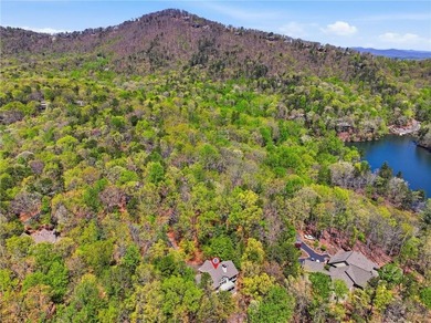 One of the biggest challenges with lake homes in Big Canoe is - photo 47
