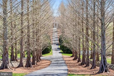 FIDELIO - 61 acres Experience unparalleled craftsmanship and - photo 10