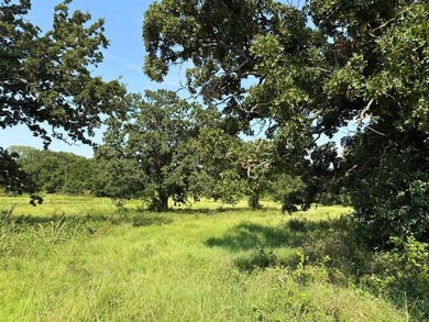 (private lake, pond, creek) Acreage For Sale in Alvarado Texas