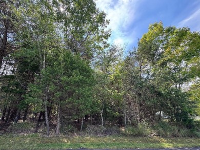 Lake Lot For Sale in Moneta, Virginia