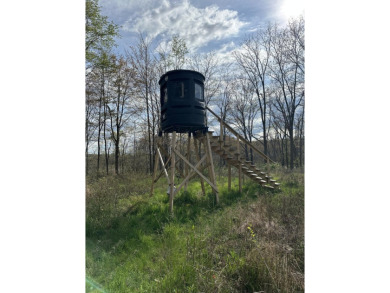 Lake Acreage For Sale in Horton, Michigan