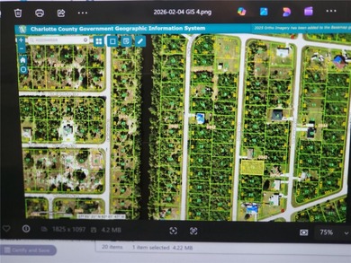 Port Charlotte Waterway Area Lot For Sale in Port Charlotte Florida
