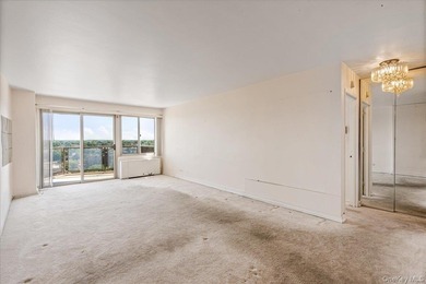 Experience elegant living in this one-bedroom mid-size at the - photo 7