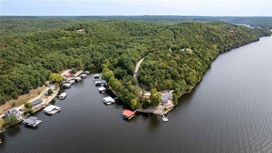 NEW Metal Roof is in the works!! Lakefront Retreat with 400+ - photo 46