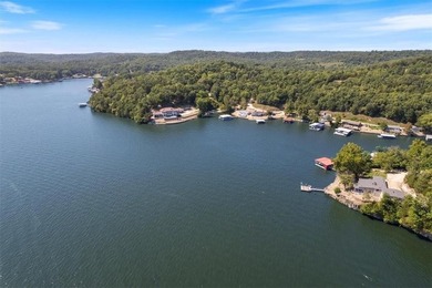 NEW Metal Roof is in the works!! Lakefront Retreat with 400+ - photo 49