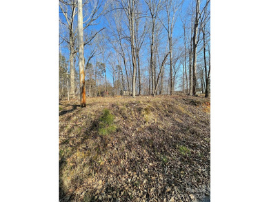 Bring your building plans and create your place at Badin Lake - photo 1