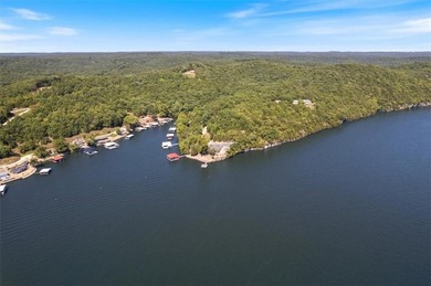 NEW Metal Roof is in the works!! Lakefront Retreat with 400+ - photo 51