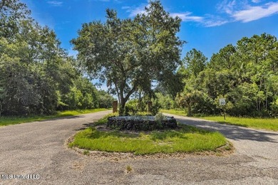 Discovery Bay is 252 acres of beautiful waterfront that offers a - photo 2