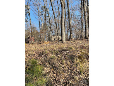 Bring your building plans and create your place at Badin Lake - photo 3