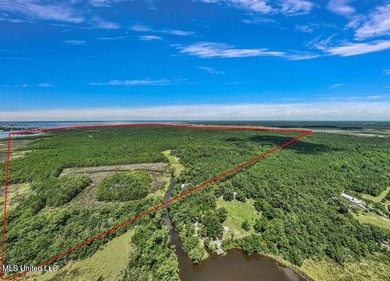 Discovery Bay is 252 acres of beautiful waterfront that offers a - photo 8