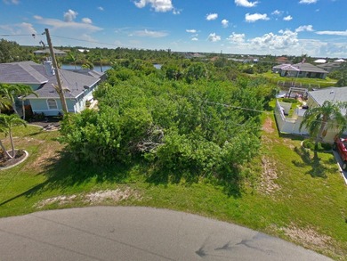 BEAUTIFUL TIP LOT with Gulf access lot located in South Gulf - photo 3