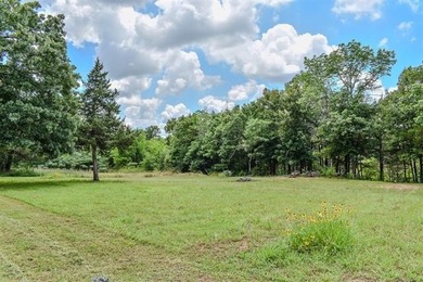 A rare opportunity to own waterfront property on beautiful Lake - photo 3