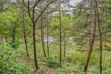 A rare opportunity to own waterfront property on beautiful Lake - photo 8