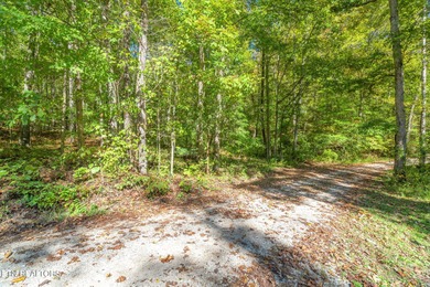 Emory River Acreage For Sale in Harriman Tennessee