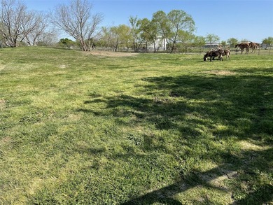 Looking for room to spread out & live the country life while - photo 28