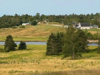 Charming 1900's farmhouse with beautiful acreage leading to - photo 3