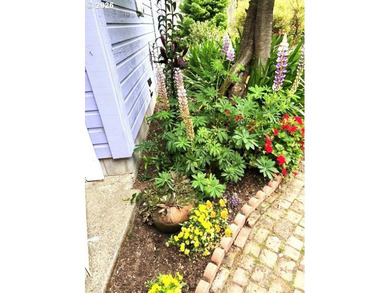 NEW PRICE, MOTIVATED SELLER!! Beautifully updated Victorian home - photo 35