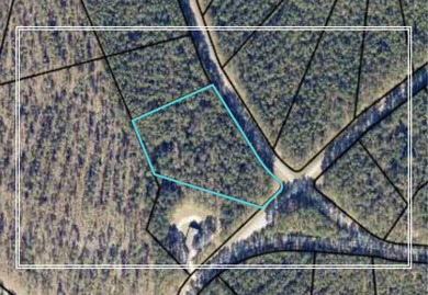 Strom Thurmond / Clarks Hill Lake Lot For Sale in Lincolnton Georgia