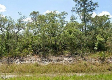 Lake June in Winter Lot For Sale in Lake Placid Florida