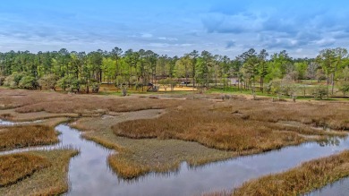 Lake Lot For Sale in Ravenel, South Carolina