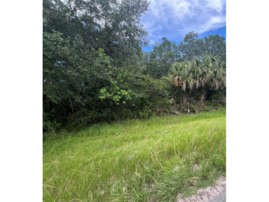 Lake Lot For Sale in Orlando, Florida