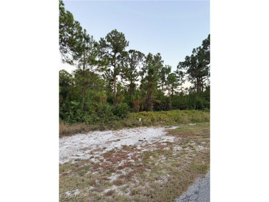 Lehigh Acres Area Lot For Sale in Alva Florida