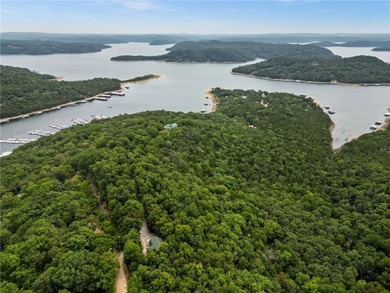 Private 11.08 acre Beaver Lake retreat with expansive lake views - photo 2