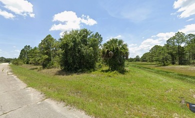 Beautiful oversized lot in North Port with possible seller - photo 3