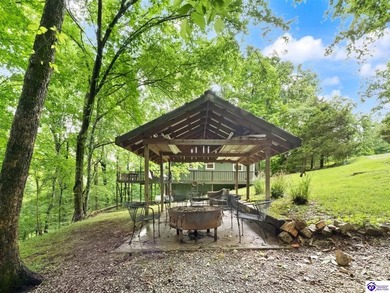 Furnished Cabin on Lake Barkley, KY
Seasonal Lake Views - photo 11