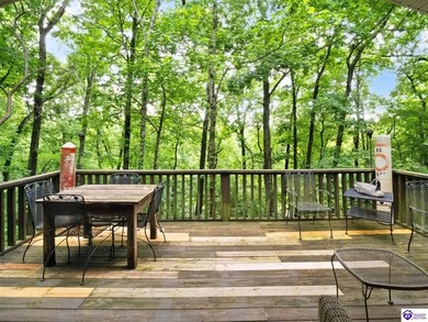 Furnished Cabin on Lake Barkley, KY
Seasonal Lake Views - photo 14