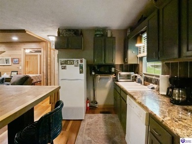 Furnished Cabin on Lake Barkley, KY
Seasonal Lake Views - photo 20