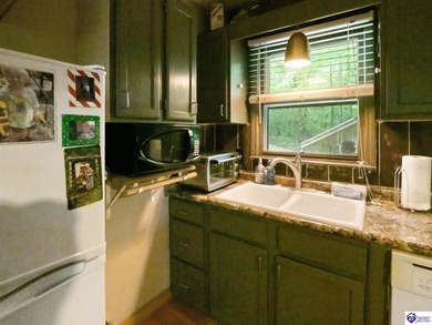 Furnished Cabin on Lake Barkley, KY
Seasonal Lake Views - photo 21