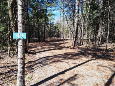Lake Acreage For Sale in Northfield, Maine