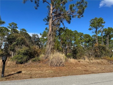 (private lake, pond, coastal) Lot Active Under Contract in Lake Placid Florida