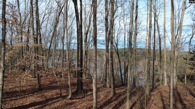 Your lakeside retreat awaits! This 1.78 acre waterfront lot on - photo 2
