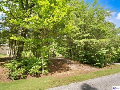 Furnished Cabin on Lake Barkley, KY
Seasonal Lake Views - photo 32